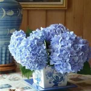 Hortensia от Foamiran: майсторски клас за производство на цвете