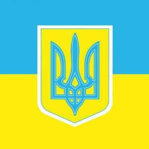 Държавната структура на Украйна. Държавната структура и политическата система на Украйна