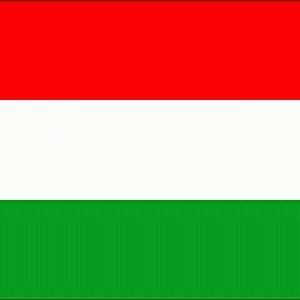 Национално знаме на Унгария: описание, история