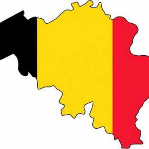 Държава Белгия: форма на управление, описание, общо описание