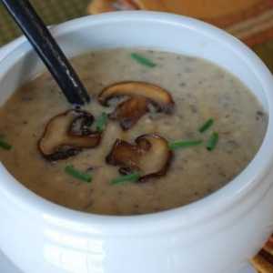 Готвене супа-пюре в миксер: рецепта за вкусна супа гъби