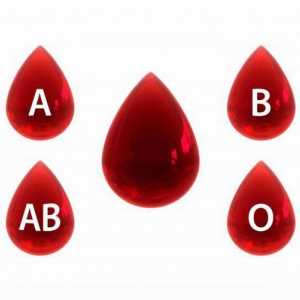Кръвни групи: схема на кръвопреливане, Rh фактор