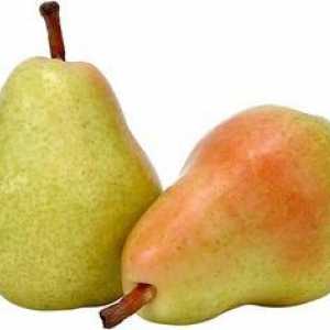 Крушата Just Maria: описание. Pear Just Maria: отзиви, рецензии