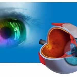 GU "Институтът по очни заболявания" (Ufa): корекция на зрението, диагностика и лечение на…