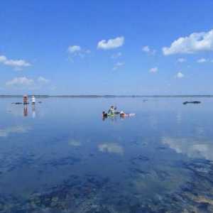 Гуселетово: Солено езеро - лечебни места на територията Алтай