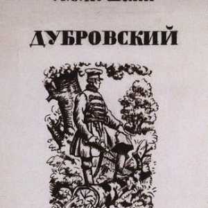 Природата на Владимир Дубровски в историята на Александър Пушкин