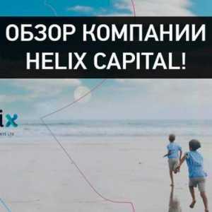 HELIX Capital Investments Ltd ("Helix Capital"): отзиви. Основни дейности