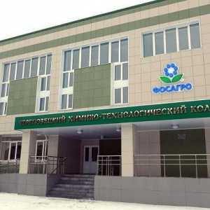 Химико-технологичен колеж (Cherepovets): описание