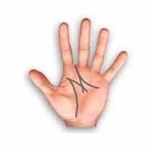 Chiromantiya.Какво означава писмото М в дланта на ръката ви?