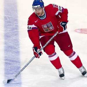 Хокейният играч Ян Марек: спортни постижения и биография