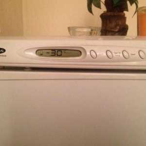 Хладилникът спря да замръзне: причините и начините за елиминиране