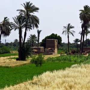 Икономическо използване на река Нил: вчера и днес