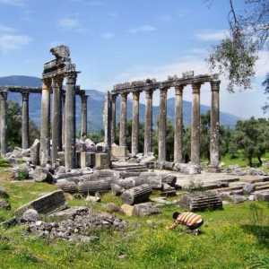Храмът на Зевс в Олимпия и методите му