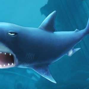 Гладната акула: Еволюция: Тайните на играта