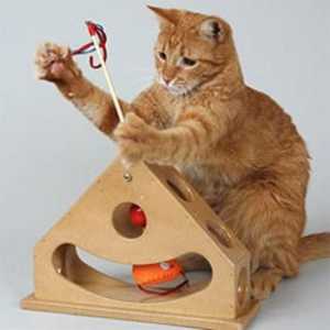 Играчки за котка интерактивни - забавление за домашни любимци