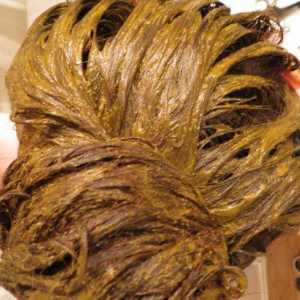 Индийска къна за коса: рецензии, особено оцветяване и препоръки