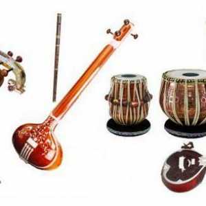Индийски музикални инструменти: Струни, ветрове, ударни инструменти
