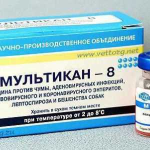 Указания за употреба "Multikan-8": свойства на лекарството, свидетелства