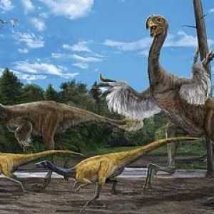 Интересни подробности за праисторическите животни. Динозаври и други праисторически животни