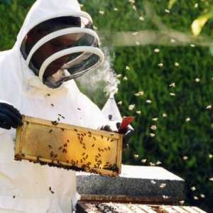 Инвентаризация на пчеларите и пчелните семейства. Какво трябва да знаете при избора на инвентар за…