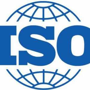 ISO е какво? Международна организация по стандартизация