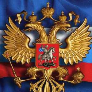 Изпълнителен орган на Руската федерация