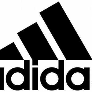 Историята на Adidas, структурата и дейностите на компанията