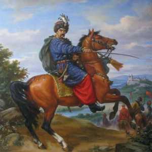 Иван Бохун - полковник на армията на Запорожие. История на Украйна