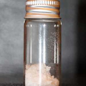 Кехлибарена киселина за отслабване: отзиви и резултати (снимка). Таблетки от янтърна киселина -…