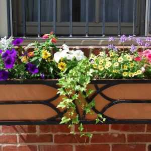 Кутии за цветя на балкона: ярка декорация на фасадата
