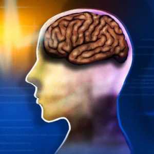 Ефективни лекарства за подобряване на мозъчната функция и паметта