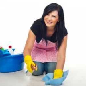 Ефективно средство за почистване на килими у дома