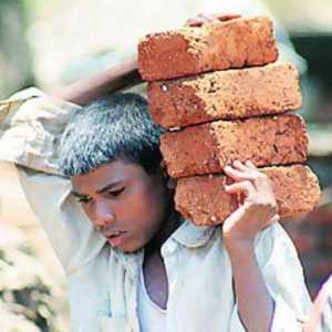 Експлоатация на детския труд: законодателство, характеристики и изисквания