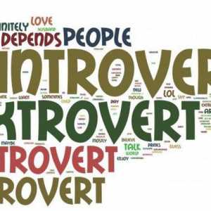 Екстровзията е ... Основите на психологията. Скала на интроверсията, екстраверсията