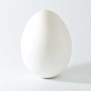 Енергийна стойност: яйце. Яйце бяло: енергийна стойност