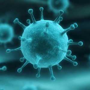 Ентеровирусна инфекция: начини на предаване, симптоми, диагноза и лечение