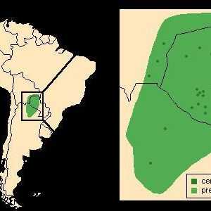 Южна Америка: La Plata Lowland