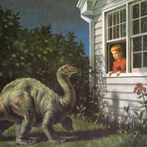 За какво мечтаят динозавър? Тълкуване на нощно виждане