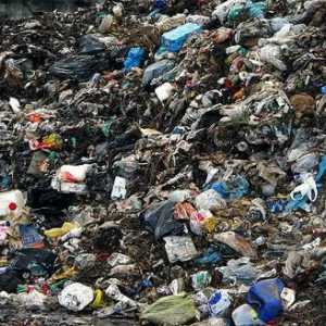 Какво съдържа боклукът (в къщата и не само)? Защо да мечтаем за изхвърлянето на боклука?