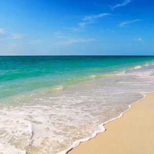 Защо мечтаете за плажа? Тълкуването на мечта ще подскаже отговора