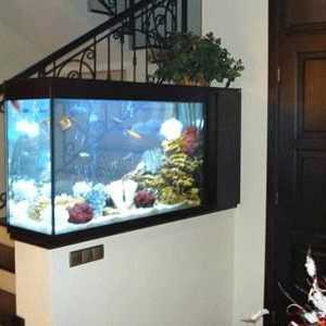 Какво мечтае рибата в аквариума? Тълкуване на мечтите: Риба в аквариума