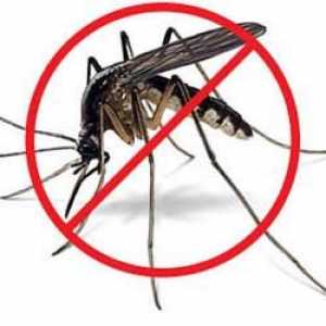 Как да се справяме с комарите. Добър съвет