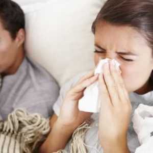Колко бързо да се лекува грип у дома? Народни средства за защита. лечение