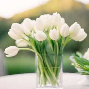 Колко дълго да запазите лалетата във ваза: начини да удължите живота на цветята в букет