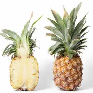 Как да ядете ананас, или всичко, което трябва да знаете за този тропически плод