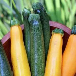 Как да съхранявате тиквички? За зимата съхраняваме зеленчуци по различни начини
