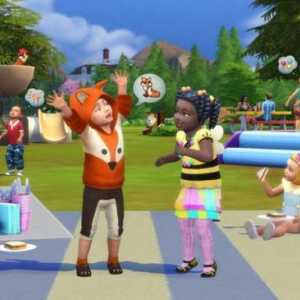 Как да използвате мами на "The Sims 4" за нуждите?