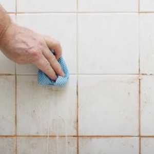 Как да се отървем от гъбичките в банята: практически съвети