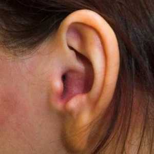 Как да се лекува гъбички в ушите?
