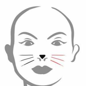 Как да нарисувате котка на лицето си. Инструкции и препоръки